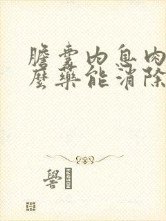 胆囊内息肉吃什么药能消除