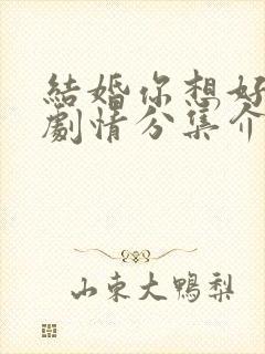 结婚你想好了吗剧情分集介绍