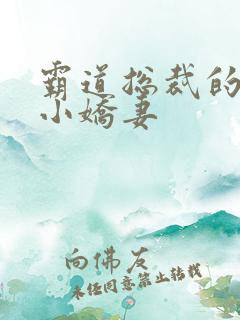 霸道总裁的调皮小娇妻