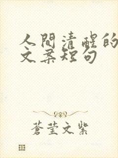 人间清醒的高级文案短句