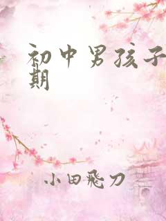 初中男孩子叛逆期