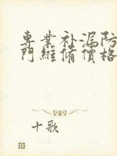 专业补漏防水上门维修价格多少