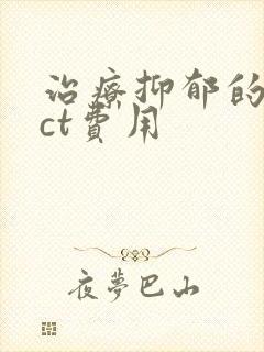 治疗抑郁的mect费用