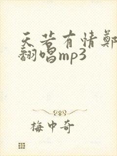 天若有情郑中基翻唱mp3