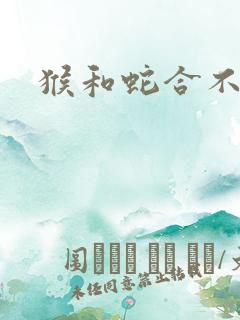 猴和蛇合不合财