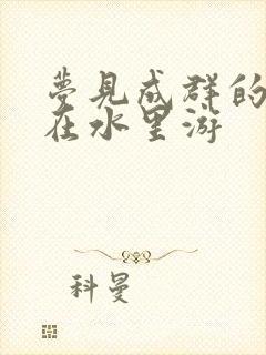 梦见成群的金鱼在水里游