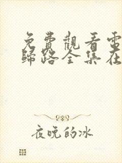 免费观看电视剧归路全集在线播放