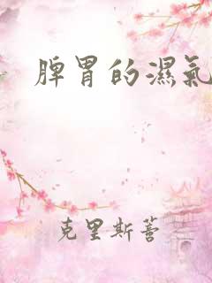 脾胃的湿气太重