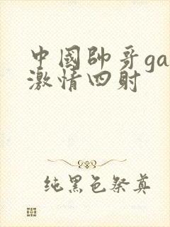 中国帅哥gay激情四射