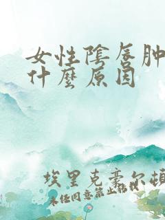 女性阴唇肿痛是什么原因