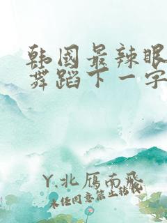 韩国最辣眼睛的舞蹈下一字马