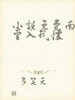 小说免费南风也曾入我怀