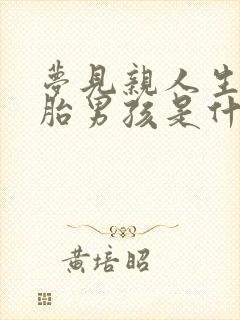 梦见亲人生双胞胎男孩是什么意思