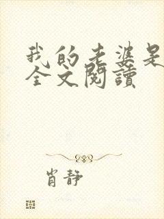 我的老婆是总裁全文阅读