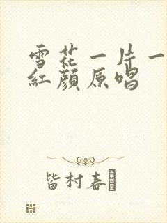 雪花一片一片为红颜原唱