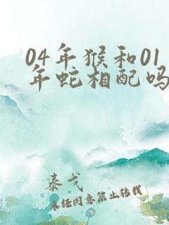 04年猴和01年蛇相配吗