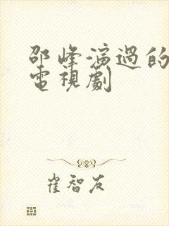 邵峰演过的所有电视剧