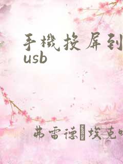 手机投屏到电脑 usb