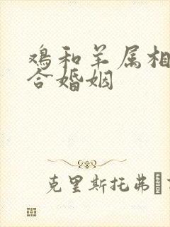 鸡和羊属相合不合婚姻