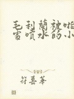 毛利兰被啪到深处喷水的小说