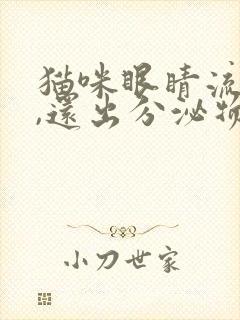 猫咪眼睛流眼泪,还出分泌物,怎么回事