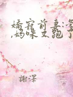 娇宠前妻:爹地,妈咪又跑了 小说