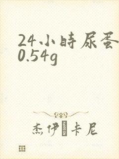 24小时尿蛋白0.54g