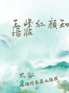 王峰红颜知己现场版