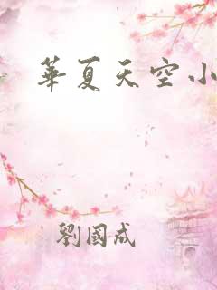 华夏天空小说网