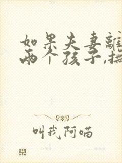 如果夫妻离婚有两个孩子,抚养权怎么判