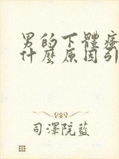 男的下体瘙痒是什么原因引起的