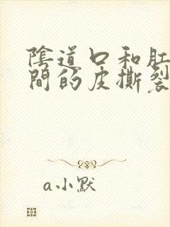 阴道口和肛门中间的皮撕裂