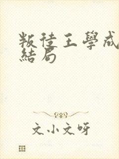 叛徒王学成最后结局