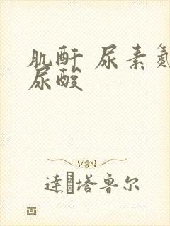 肌酐 尿素氮 尿酸