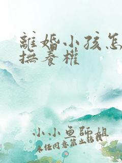 离婚小孩怎么判抚养权