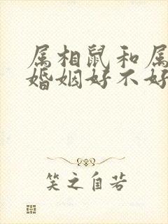 属相鼠和属相虎婚姻好不好