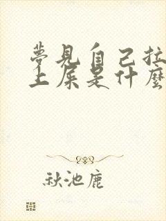 梦见自己拉在床上屎是什么预兆呢