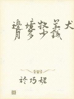 边境牧羊犬两个月多少钱