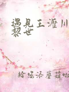 遇见王沥川 苏黎世