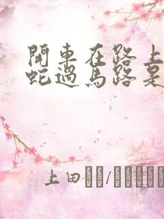 开车在路上遇到蛇过马路是什么征兆