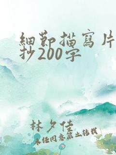 细节描写片段摘抄200字