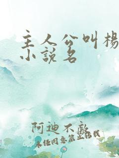 主人公叫杨凡的小说名