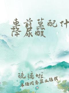 车前草配什么能降尿酸