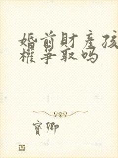 婚前财产孩子有权争取吗