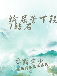 输尿管下段0.7结石