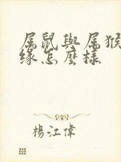 属鼠与属猴的姻缘怎么样