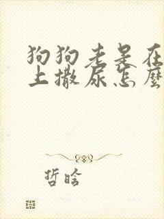 狗狗老是在地板上撒尿怎么办