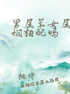 男属羊女属蛇婚姻相配吗