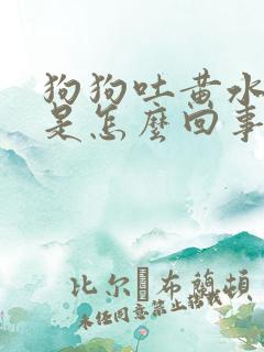 狗狗吐黄水白沫是怎么回事,该怎么办呢?