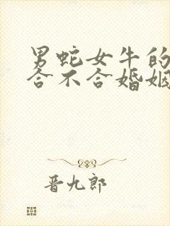 男蛇女牛的属相合不合婚姻